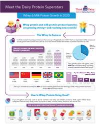 Dairy Protein infographic